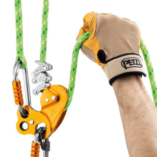 Poulie-mousqueton Petzl Rollclip A