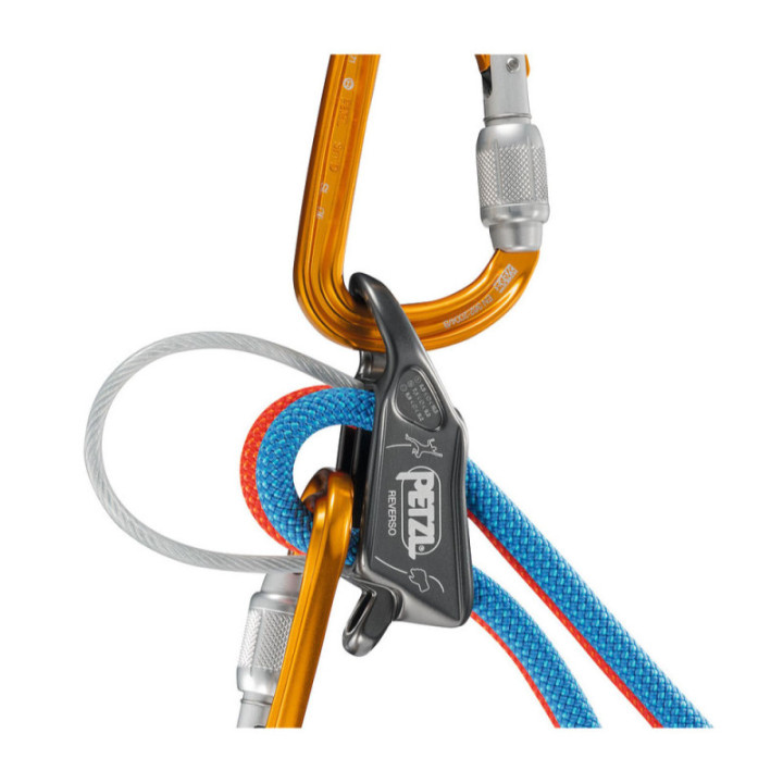 Assureur-descendeur Reverso Petzl