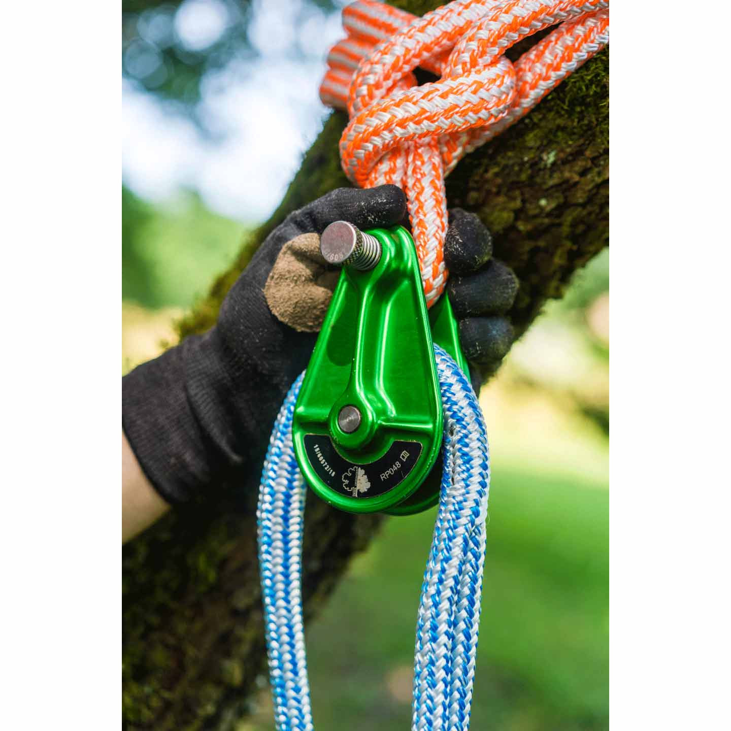 Qiilu Épingles de sécurité de couleur 500pcs épingles de sécurité