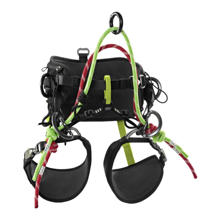 Harnais Edelrid TreeRex II - Baudrier d'élagage polyvalent