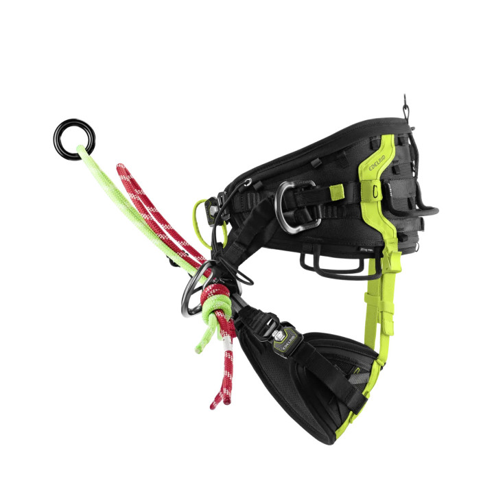 Harnais Edelrid TreeRex II - Baudrier d'élagage polyvalent