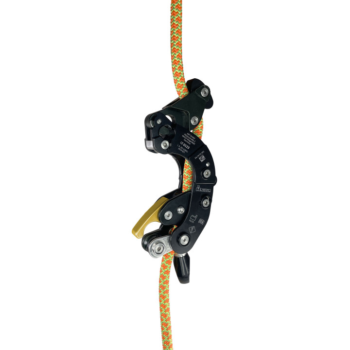 Bloqueur & descendeur Art BlackBird