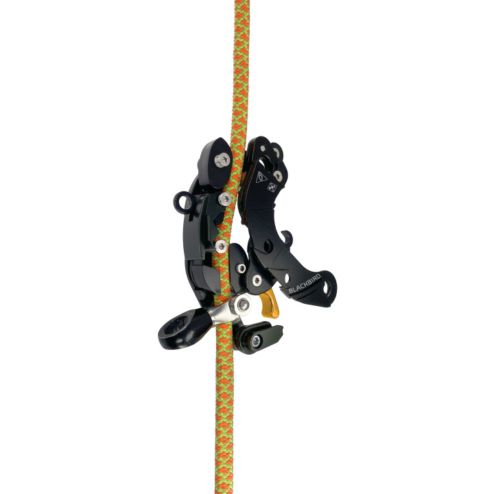 Bloqueur & descendeur Art BlackBird