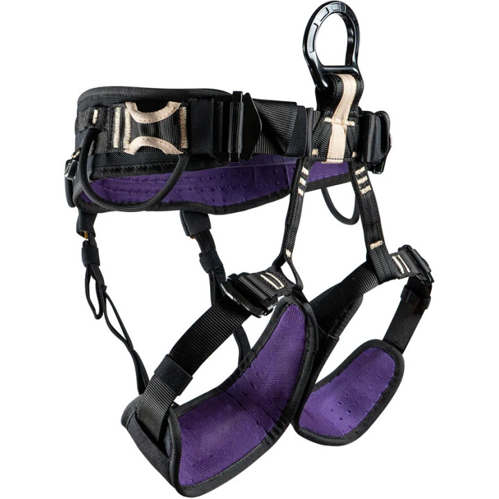 Harnais Dragon Béal