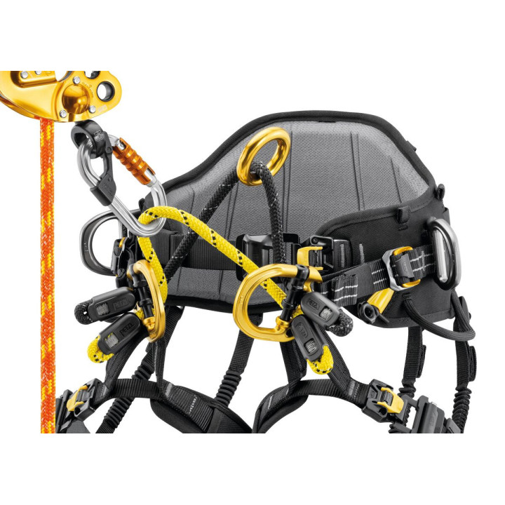 Harnais cuissard d’élagage SEQUOIA PLUS PETZL