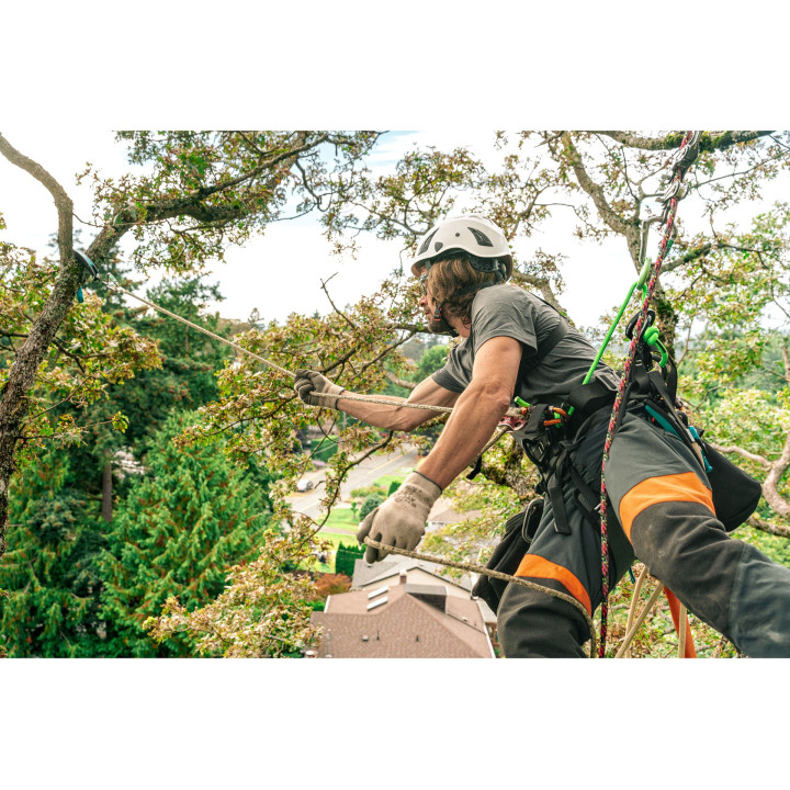 Grappin RC Grapple Notch - Repositionnement en canopée