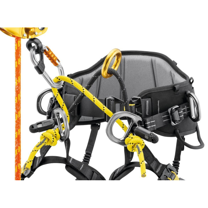Baudrier Sequoia Petzl (2026) - Harnais cuissard élagage