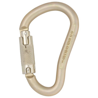 Mousqueton acier DMM Boa HMS Locksafe