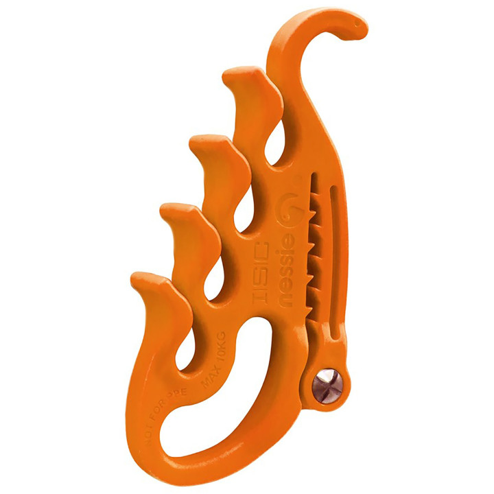 Organisateur de longe ISC Nessie