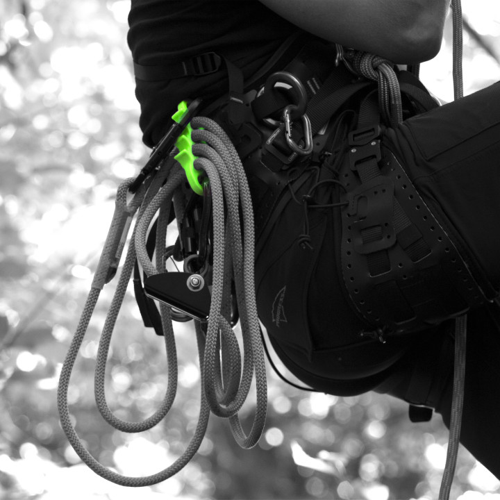 Organisateur de longe ISC Nessie