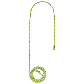 Longe de remplacement Courant Flexbee V2