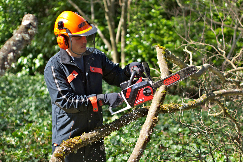 Débitage des branches