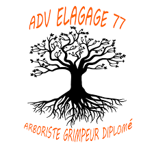 ADV Elagage 77