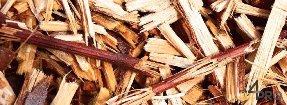 Recyclage déchets de broyeurs en copeaux de bois