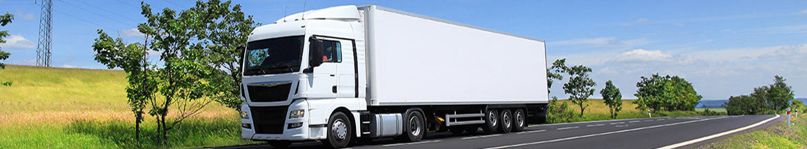 camion livraison France Métropolitaine