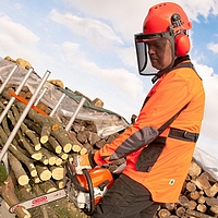 Equipement pour tronçonneuse