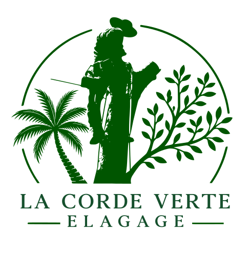 La Corde Verte Logo La Corde Verte