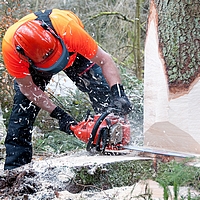 Découpe d'un tronc d'arbre à la tronçonneuse à deux mains