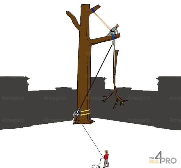 descente d'une branche via une technique de rétention