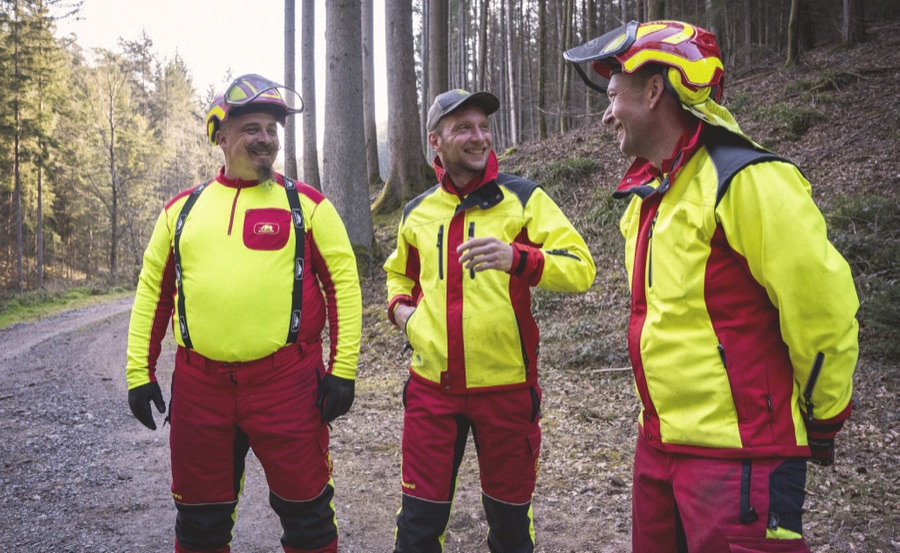 Bûcherons équipés de vêtements de protection en forêt