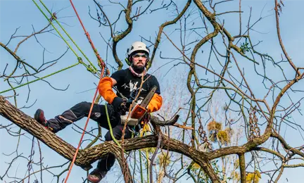 Ropeo  Équipements pro d'activités et travaux en hauteur