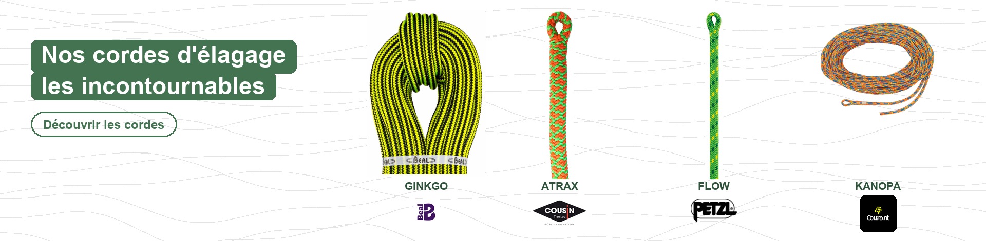 Cordes d''élagage Ginkgo, Atrax, Flow, Kanopa
